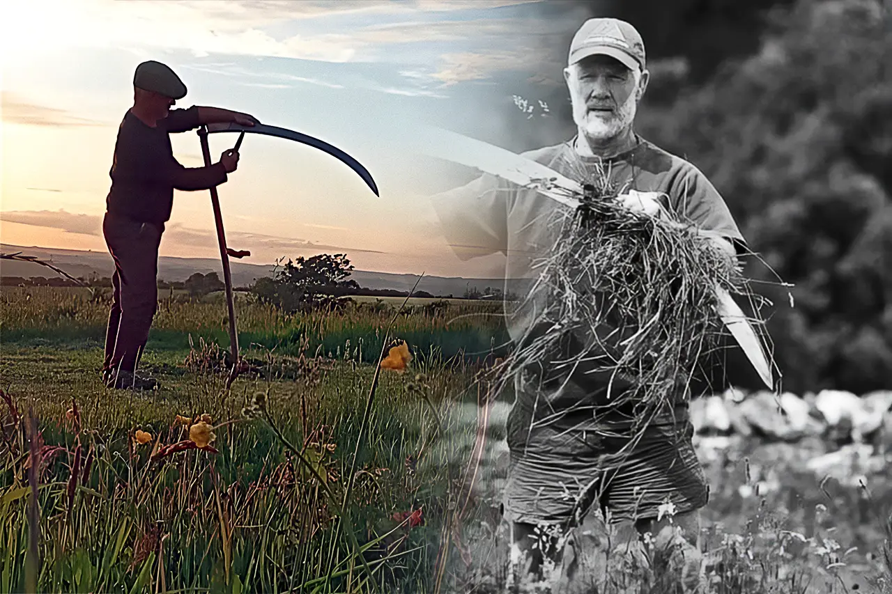 kevin sharpening and cleaning scythe. Two images blended together